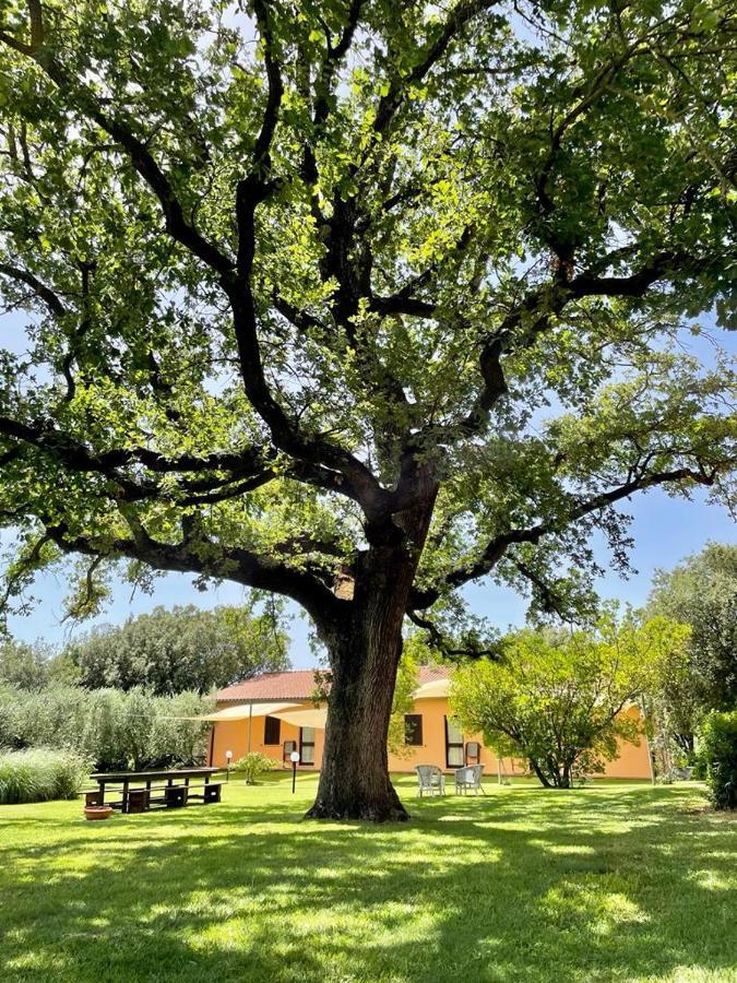 Agriturismo I Tre Fossi マリアーノ・イン・トスカーナ エクステリア 写真
